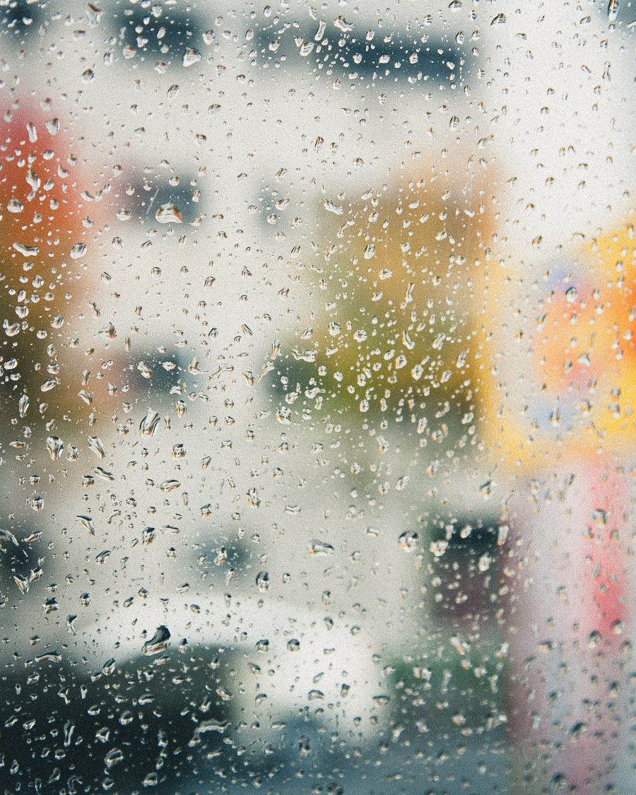 Glasswing Rain Curtain