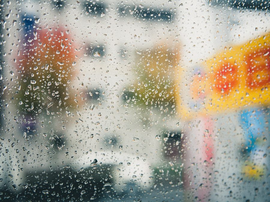 Glasswing Rain Curtain